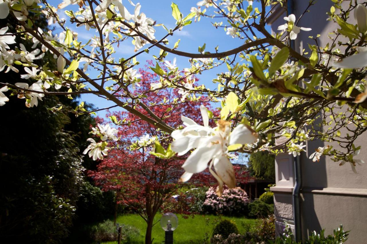 Villa Rosengarten Fehmarn Zewnętrze zdjęcie